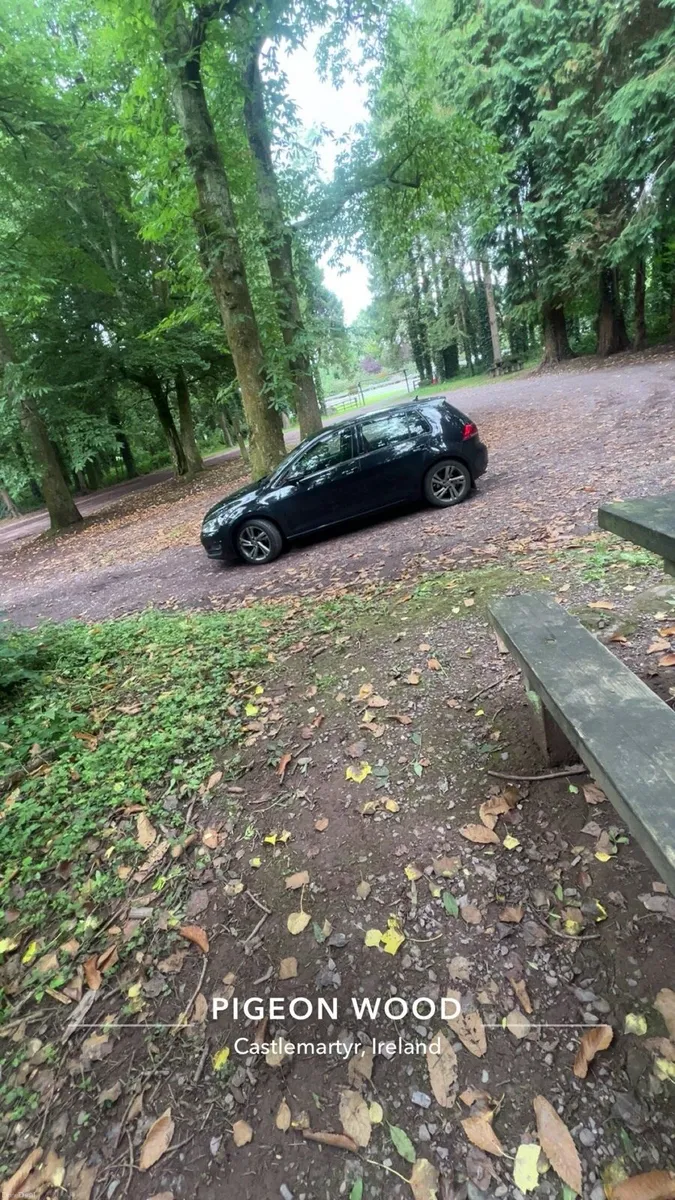 Mark 7 golf - Image 4