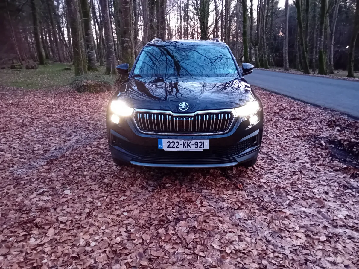 222 SKODA KODIAQ  2.0 TDI 150 BHP AUTO 7 SEATER - Image 2