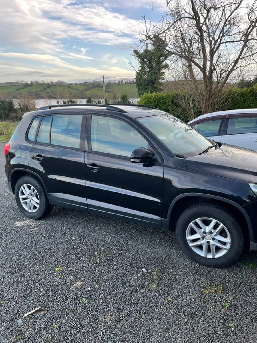 2010 Volkswagen Tiguan - Image 1