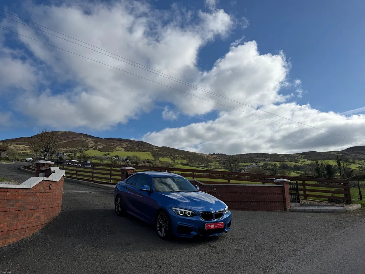 2018 BMW 218i M Sport - Image 2