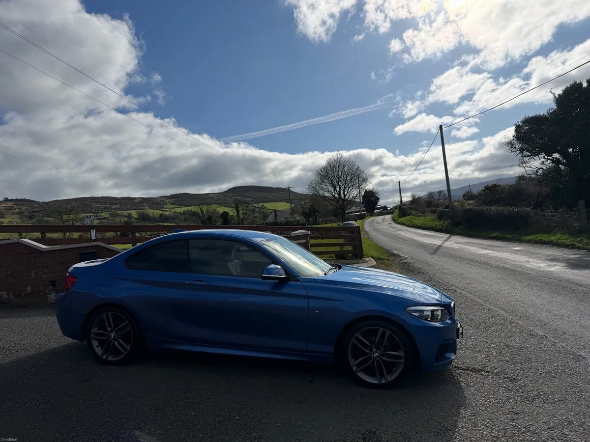 2018 BMW 218i M Sport - Image 4