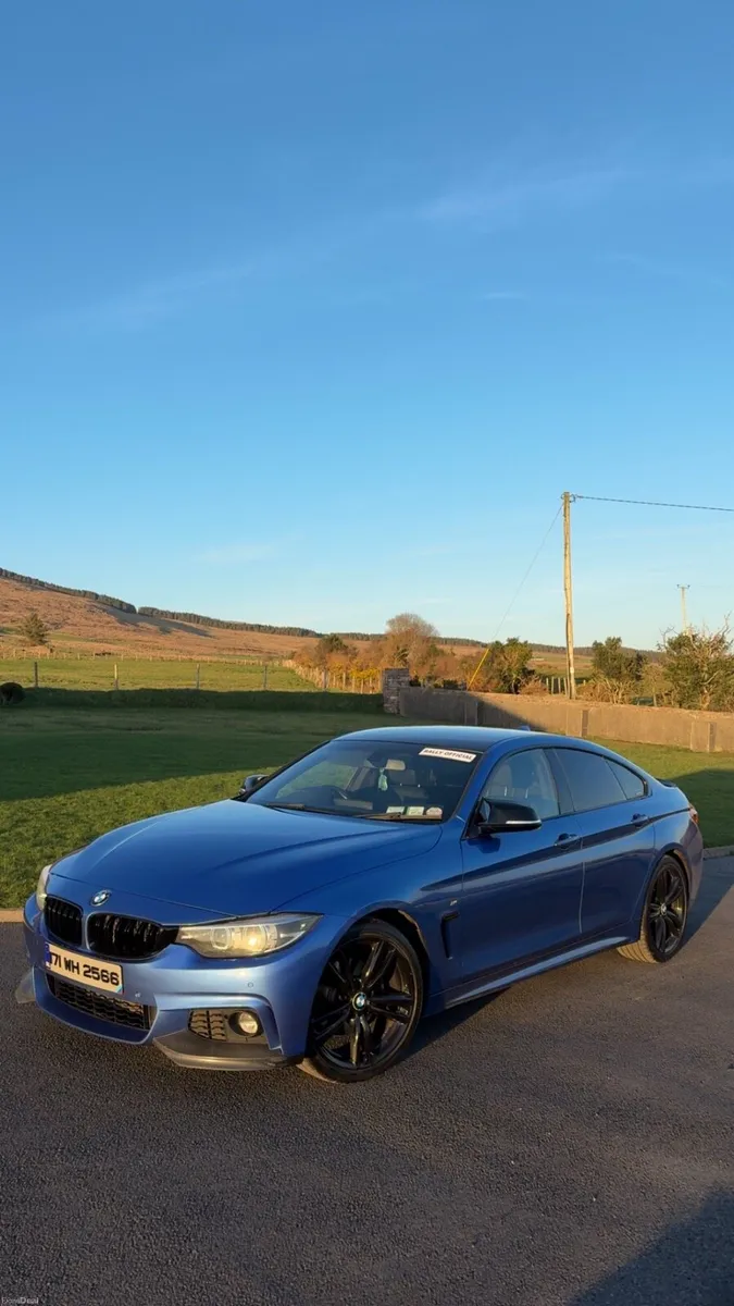 BMW 420d - Image 2