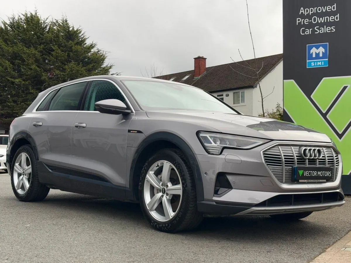 Audi e-tron TECHNIK 55 QUATTRO AUTO - Image 1