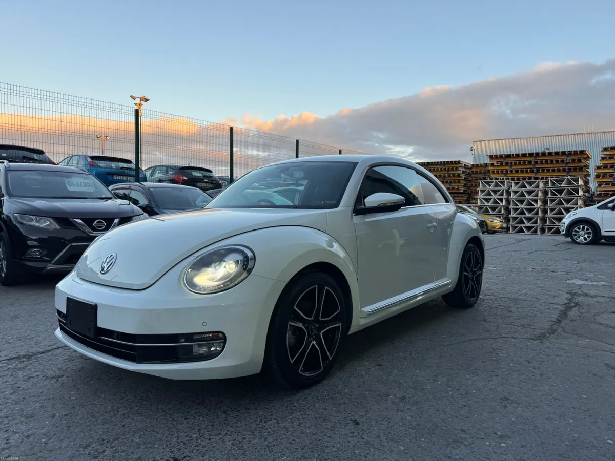 Volkswagen Beetle - Image 2