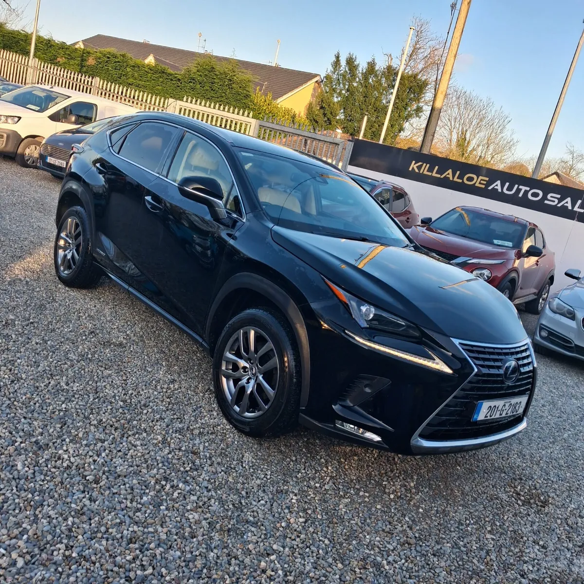 2020 Lexus NX300 Auto (Top Spec) - Image 1
