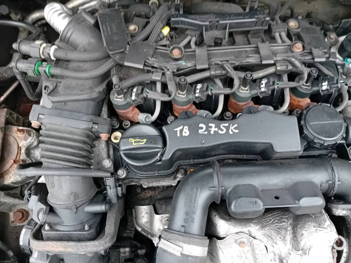 Ford focus - Image 2