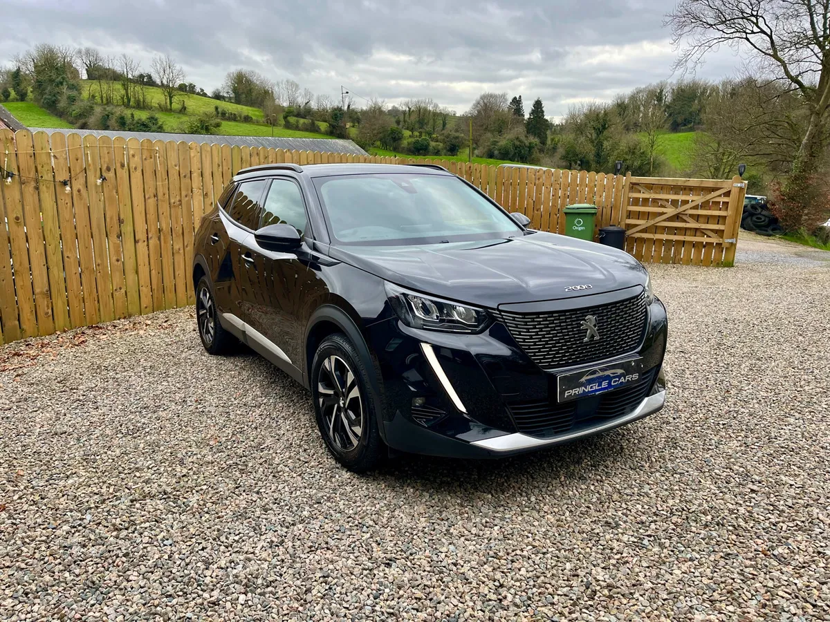 Peugeot 2008 2021 - Image 2