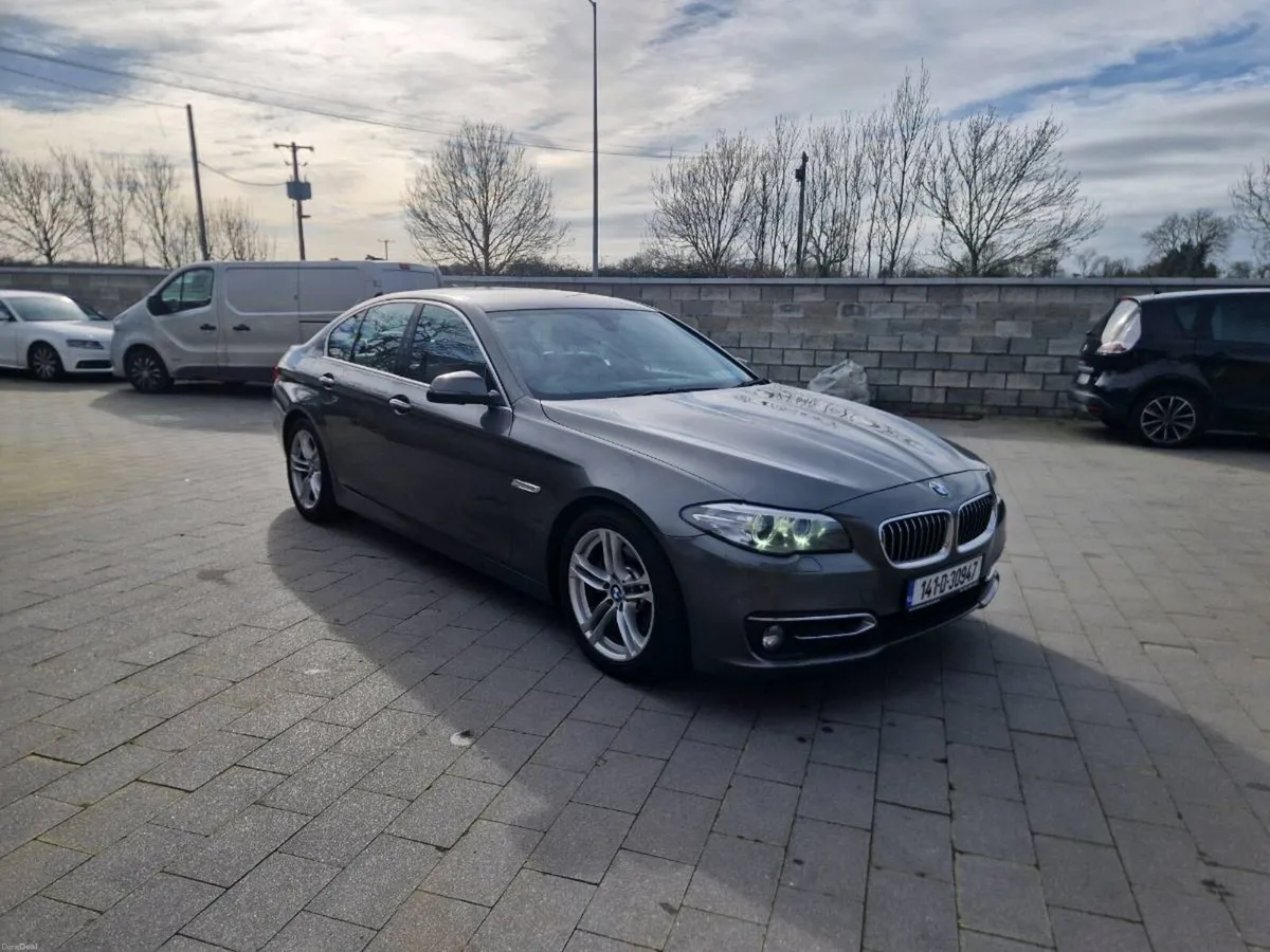 Bmw 520d lux ed - Image 1