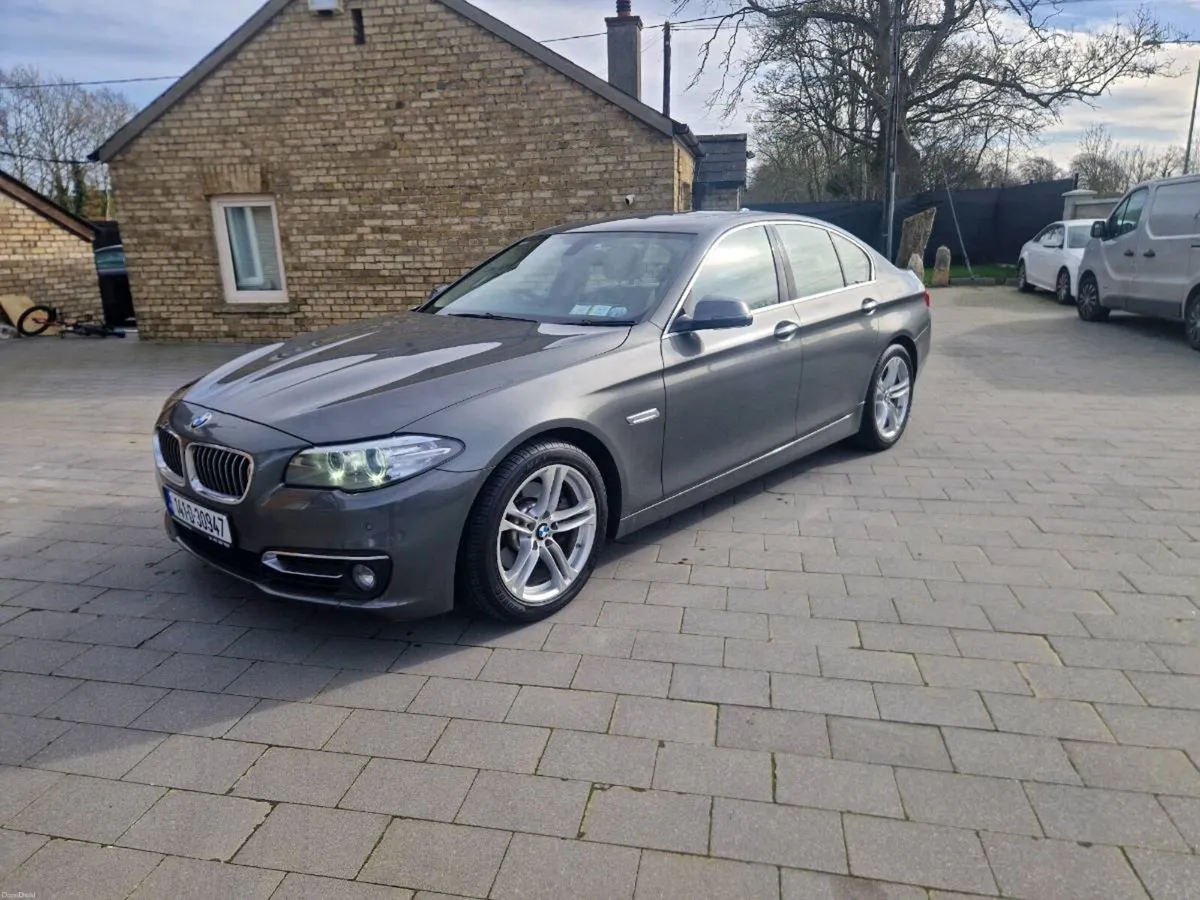 Bmw 520d lux ed - Image 2