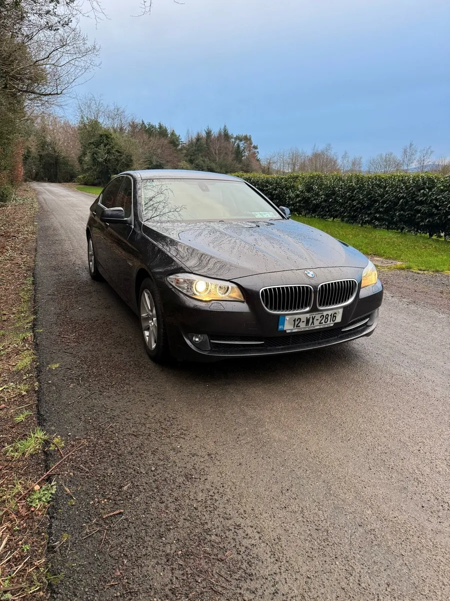 BMW 520 - Image 1