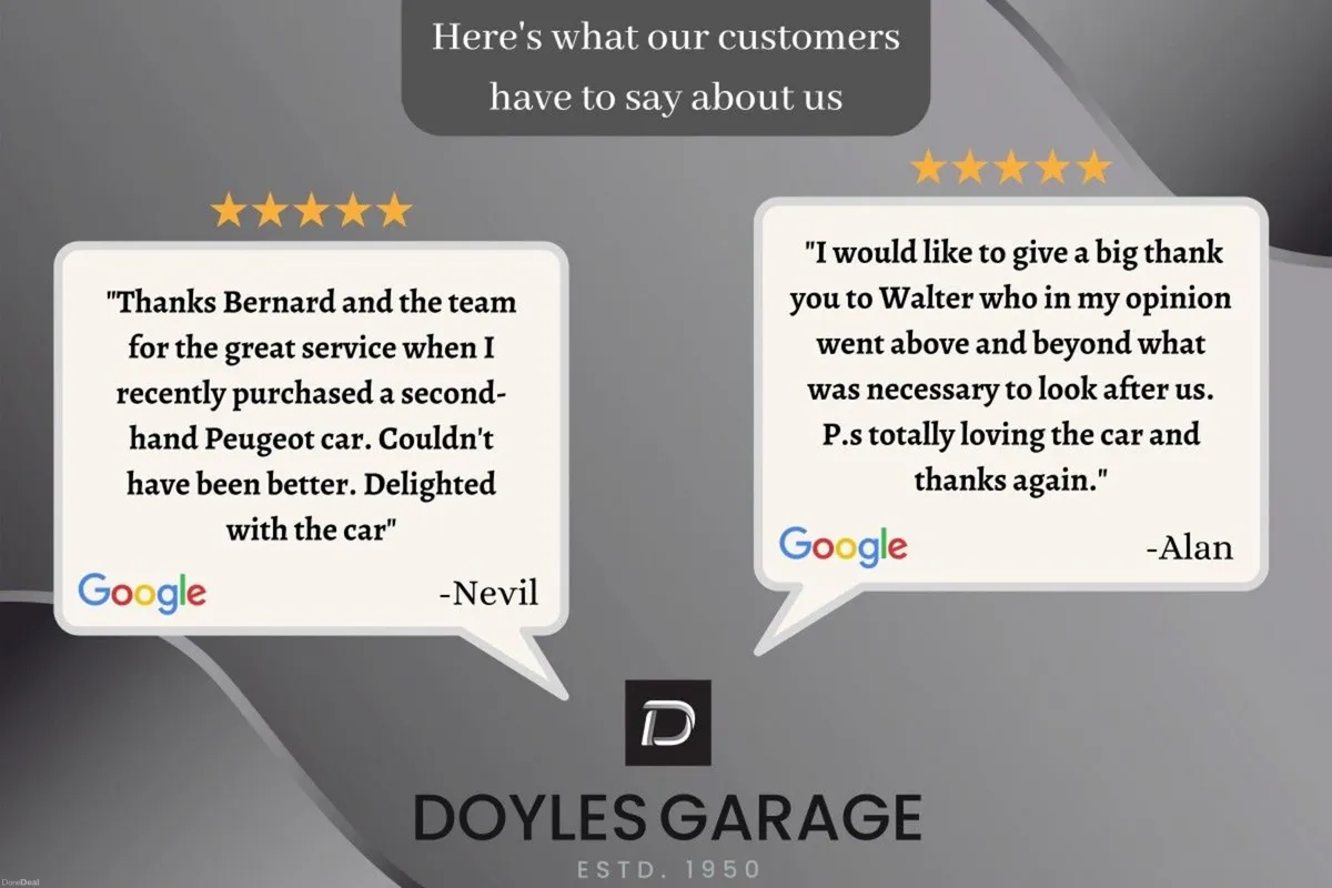 Ora Funky Cat 300 Pro 48kWh - Image 3