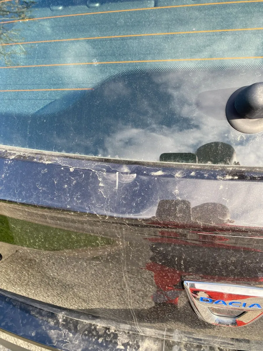 Dacia Sandero Stepway 2022 - Image 4