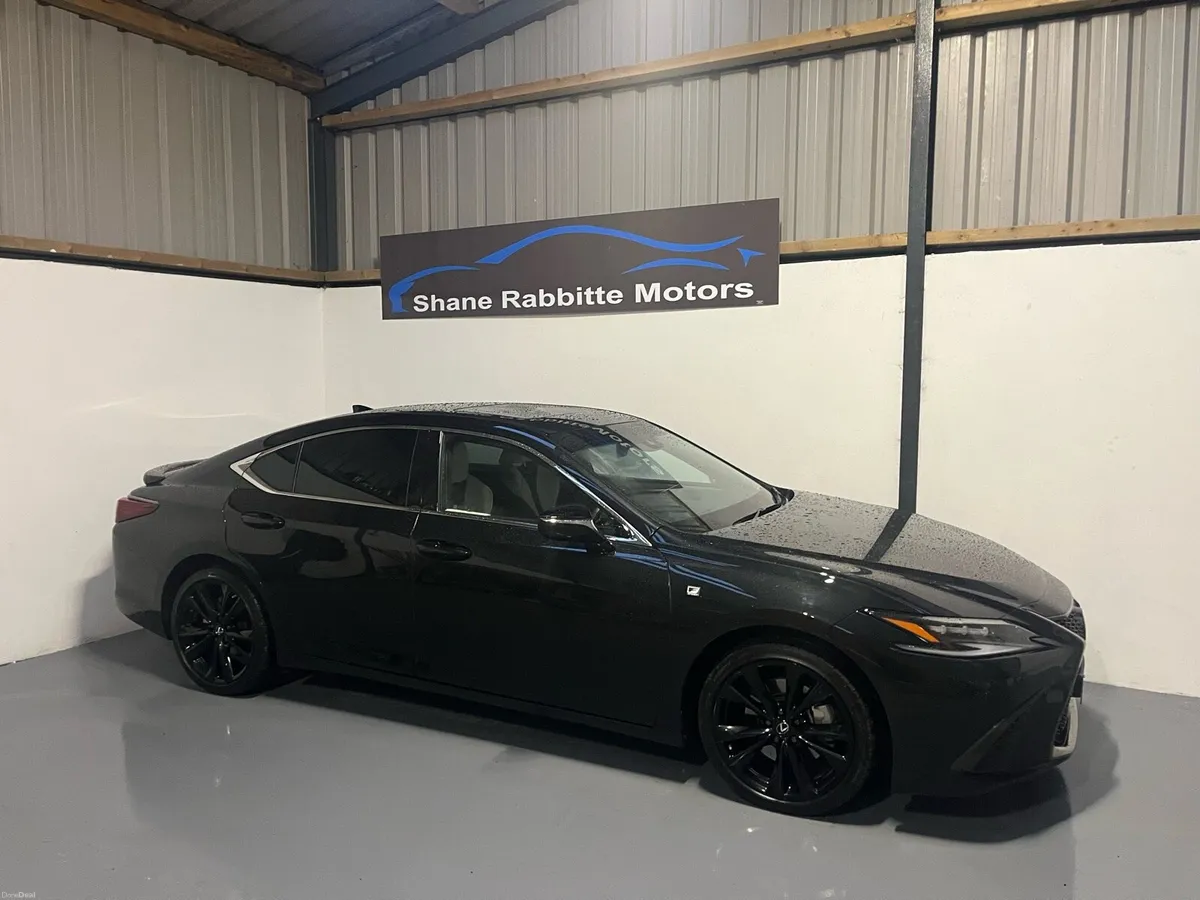 232 LEXUS ES300 F SPORT ONLY 18000kms - Image 2
