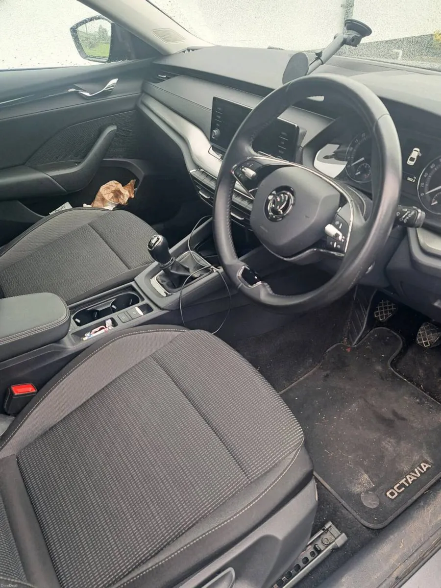 2023 octavia - Image 2