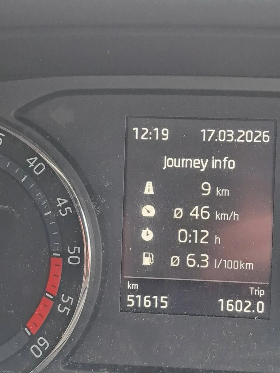 2023 octavia - Image 4