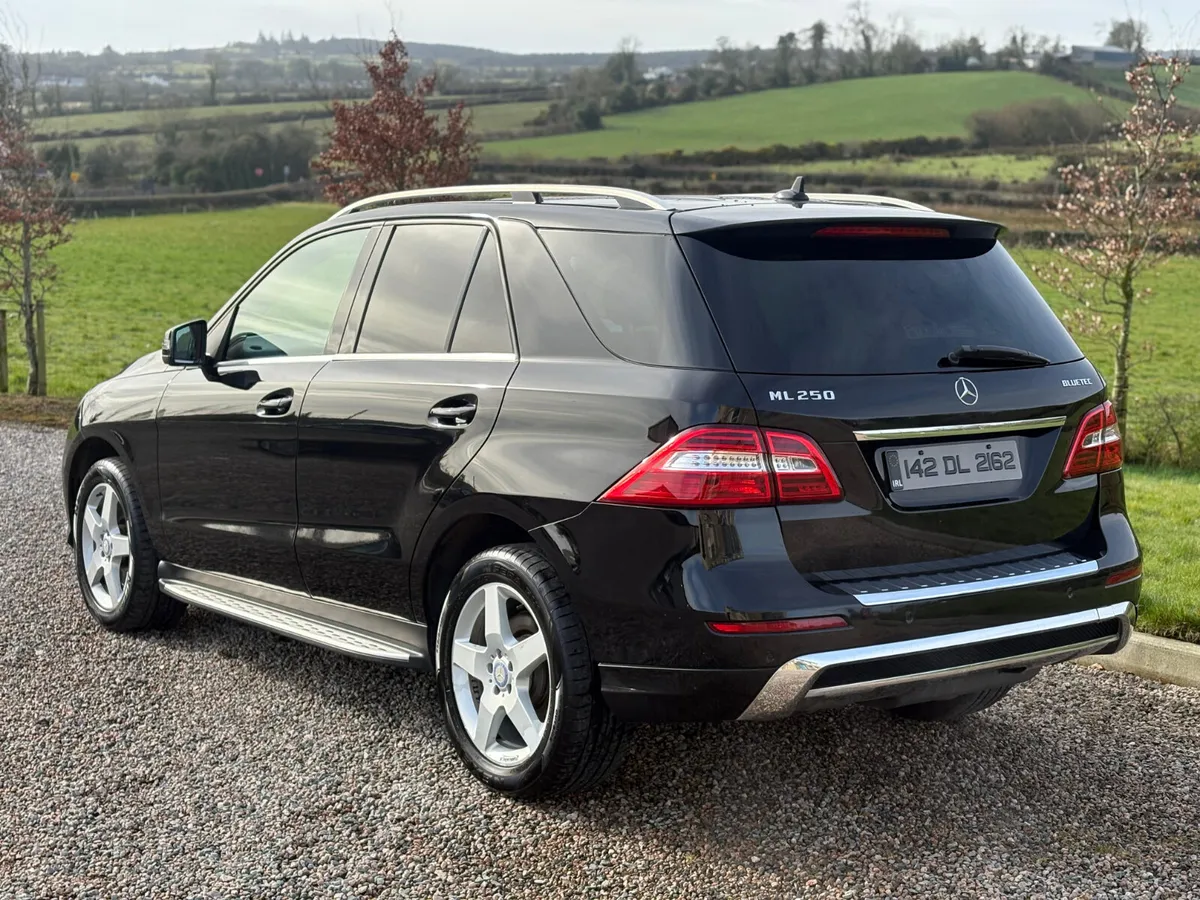 142 Mercedes-Benz M-Class ML 250 Bluetec - Image 3