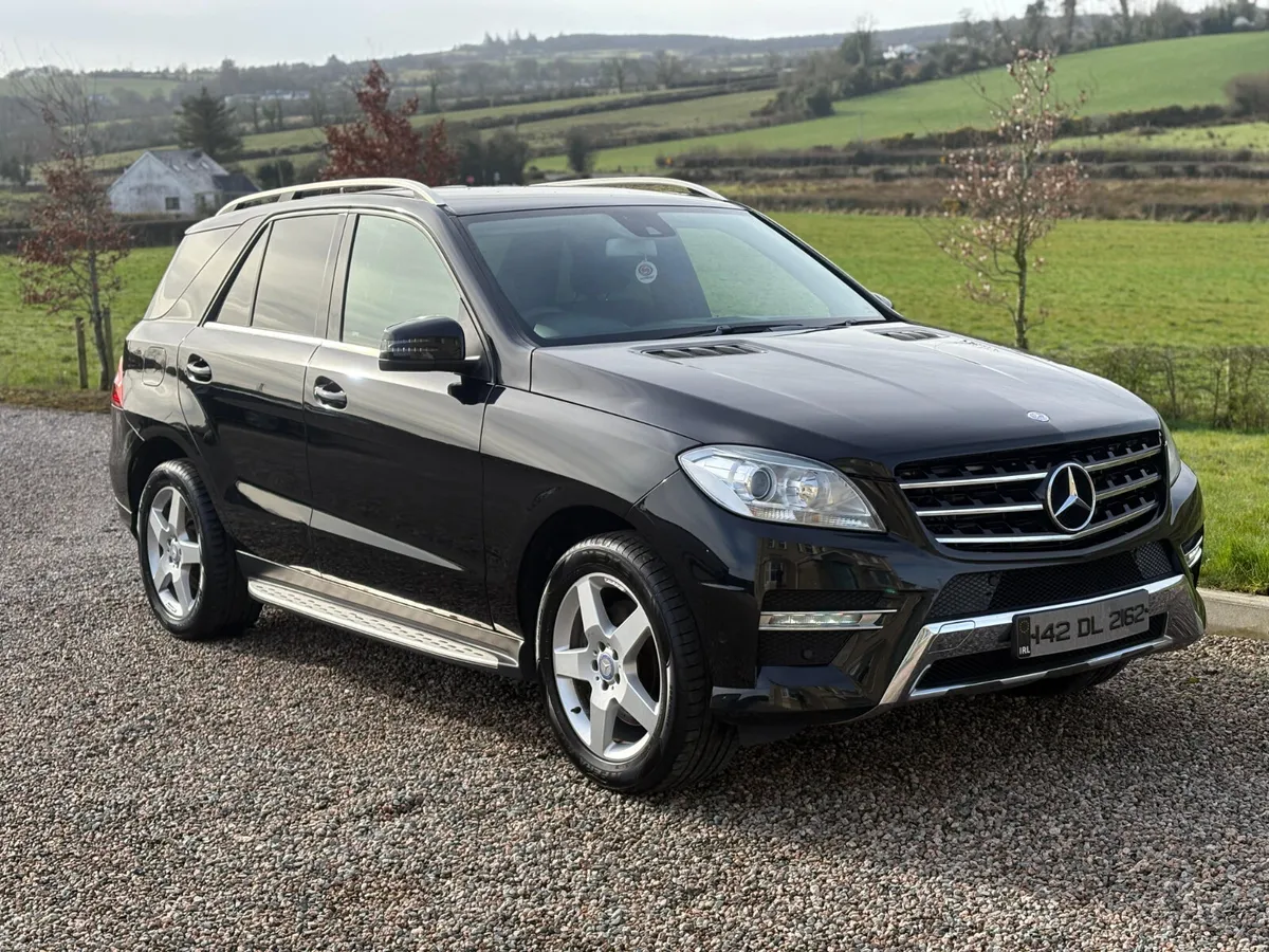 142 Mercedes-Benz M-Class ML 250 Bluetec - Image 1