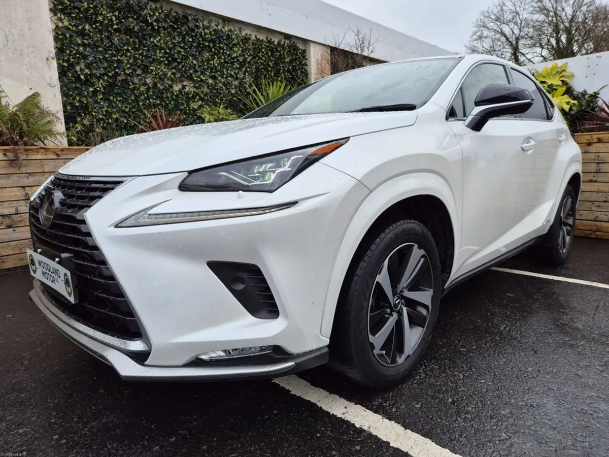 Lexus NX 300H 2.5 HYBRID / LUX TOP SPEC / TAX €280 - Image 3