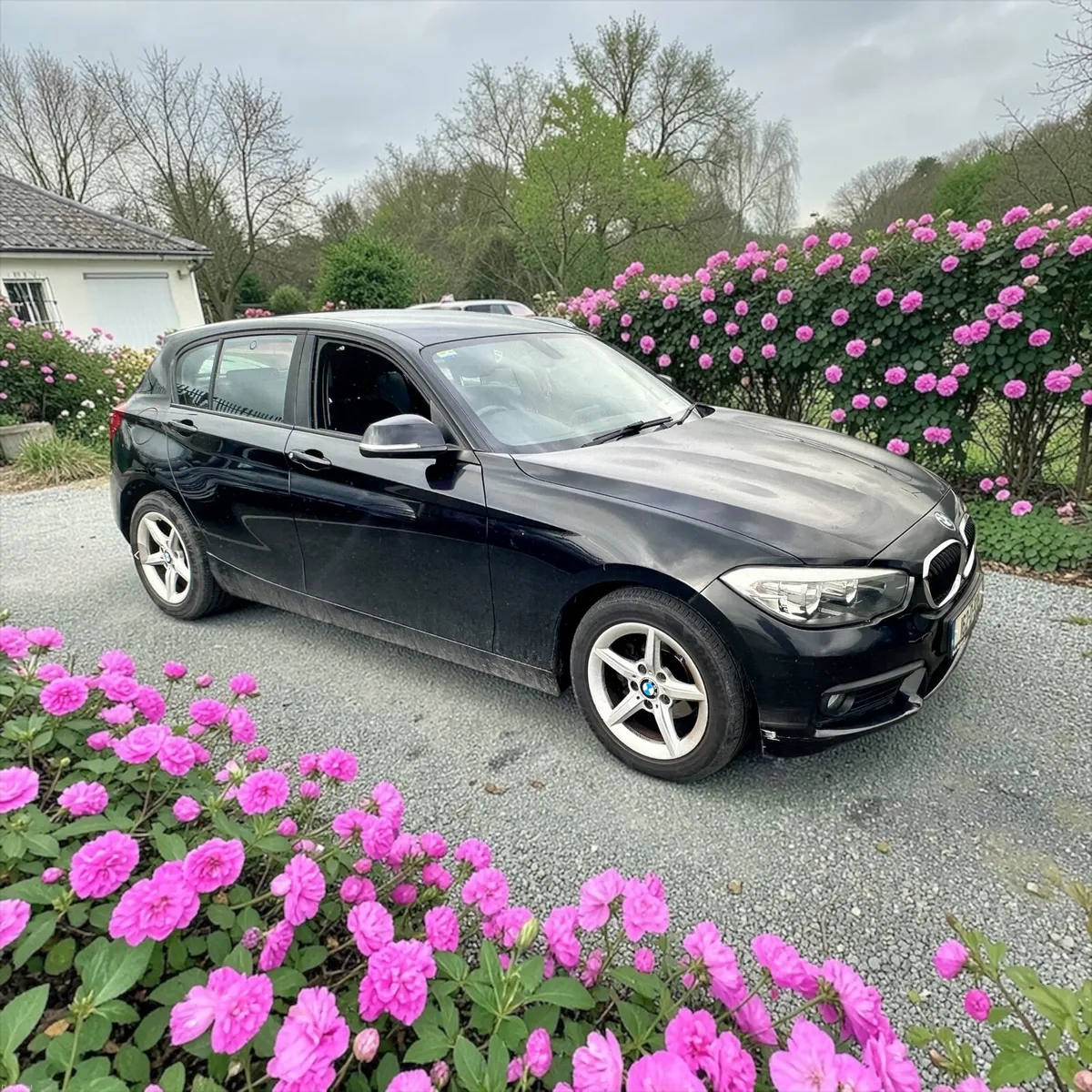 2016 BMW 1-Series 116-D SE Automatic Leather - Image 1