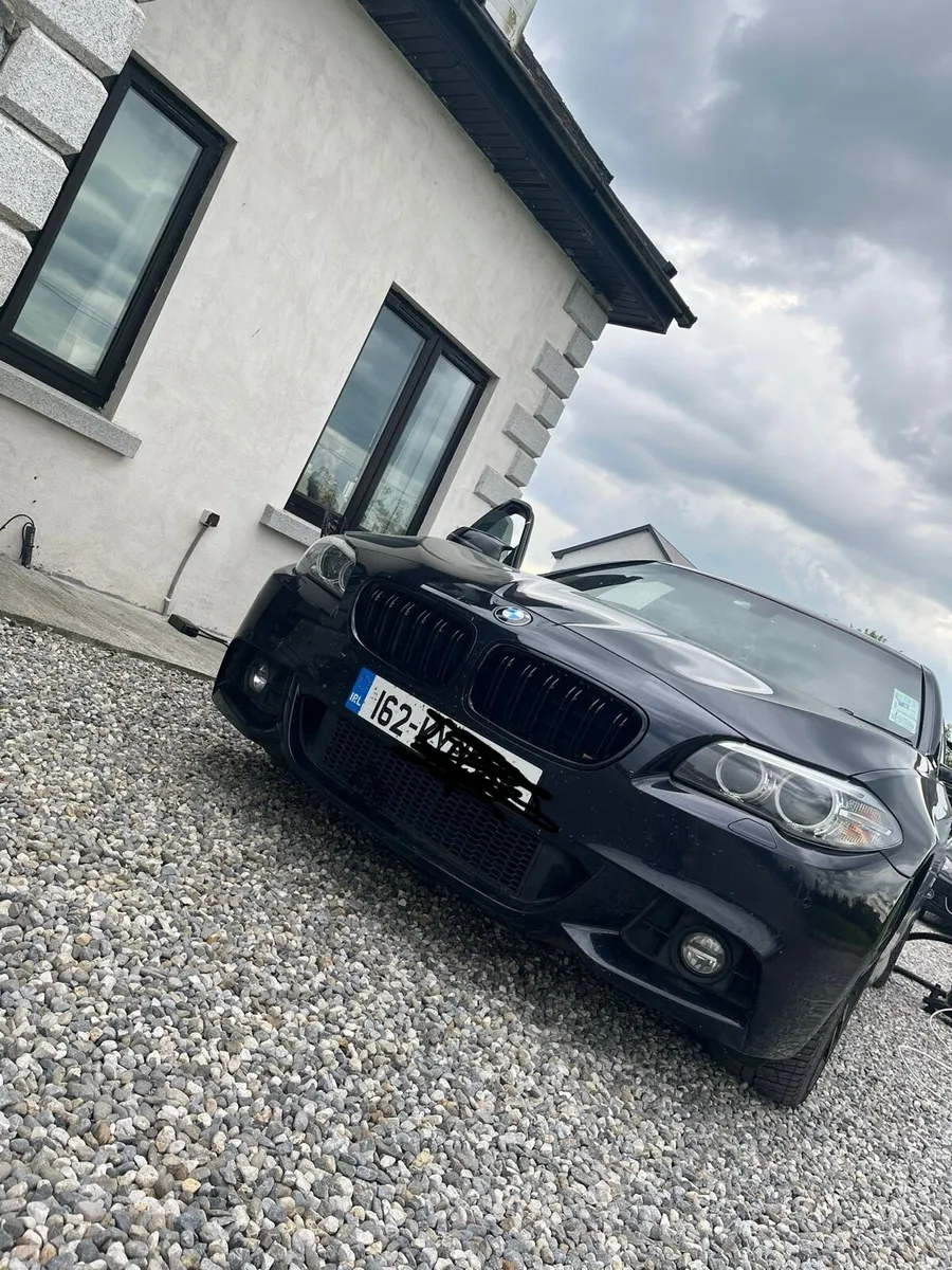 BMW 518D F10 Sport - Image 2