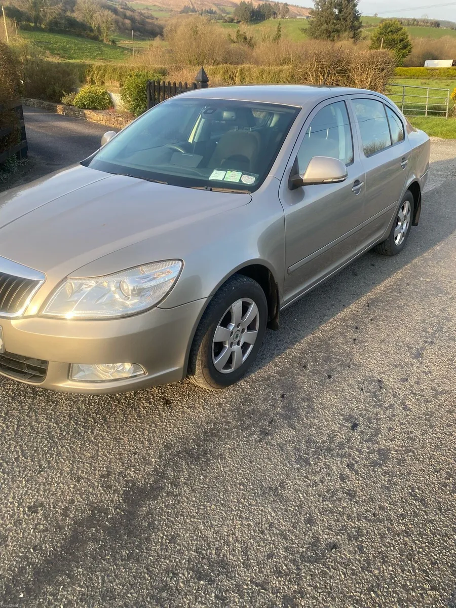 09 Skoda Octavia 1.9 TDI - Image 1