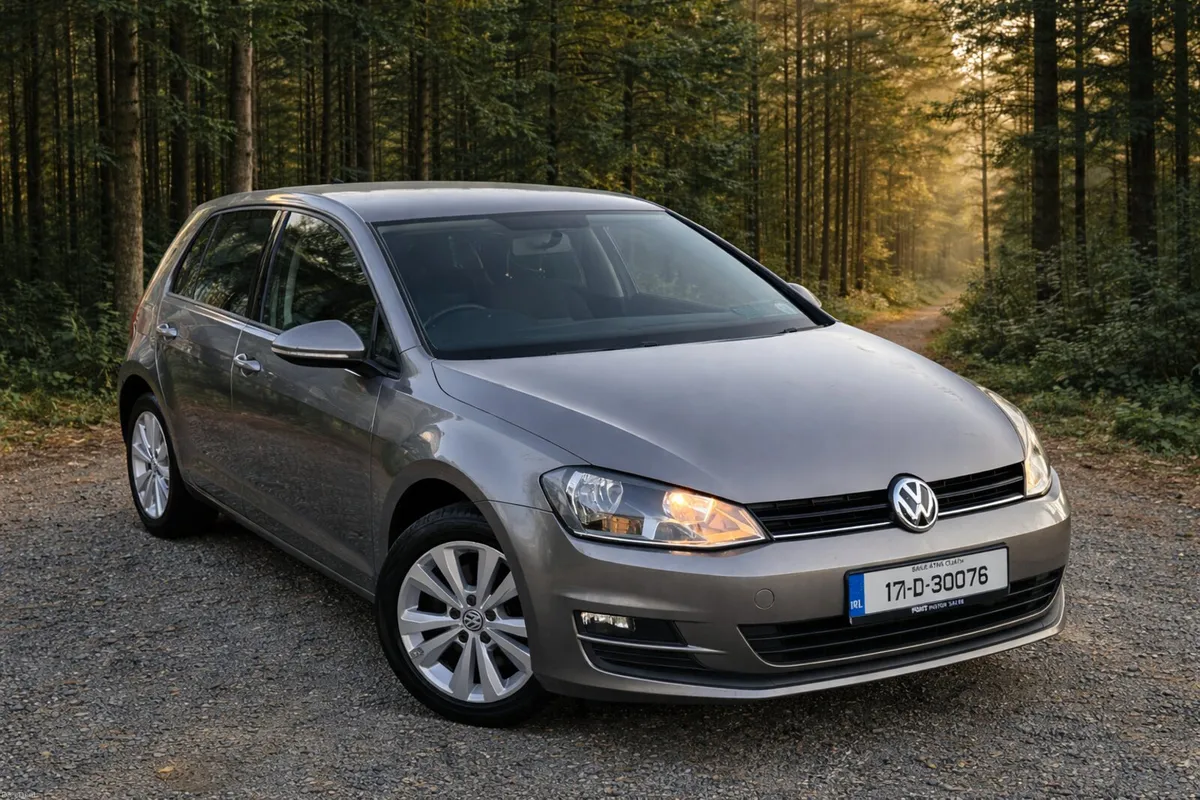 171 Volkswagen Golf 1.6TDI SE BM - LOW KMS - Image 2