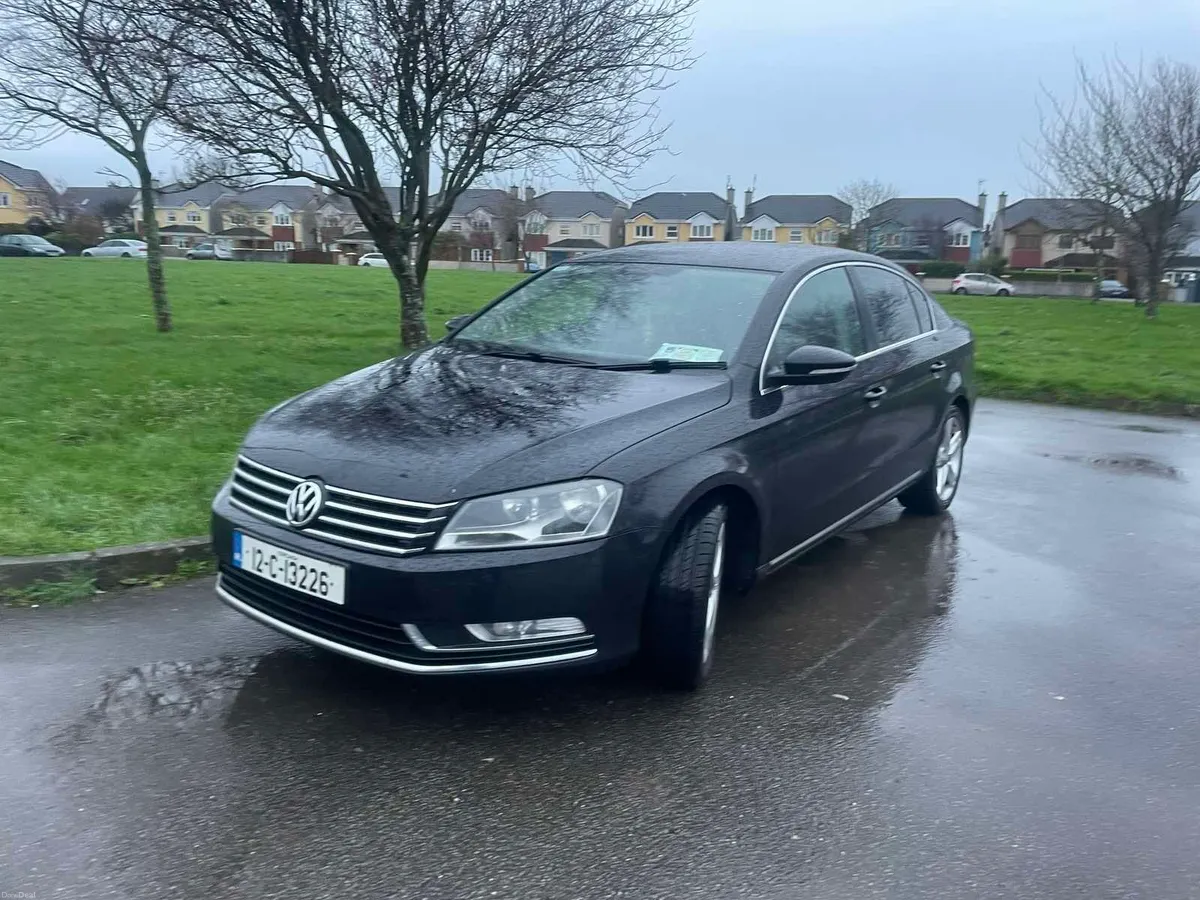 Volkswagen Passat 2.0 - Image 1