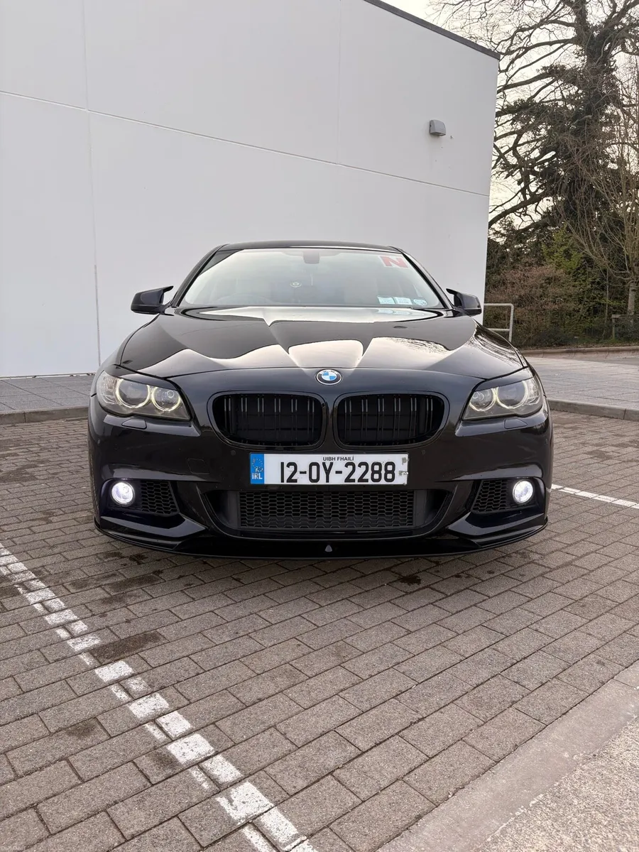 520d f10 SE - Image 3