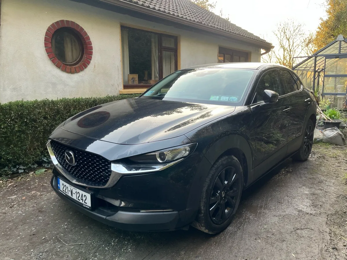 Mazda CX-30 - Image 2