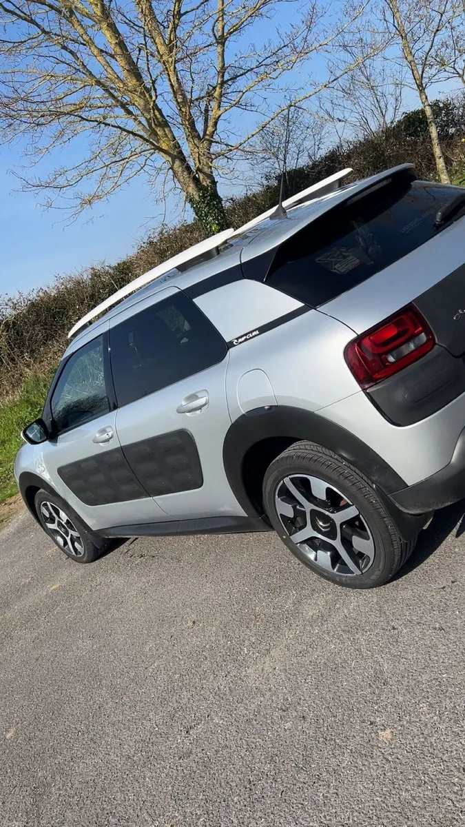 2017 Citreon C4 Cactus Mint. - Image 1