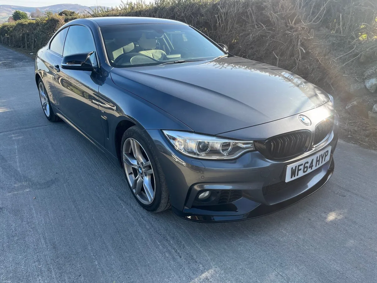 Bmw 420d Msport Xdrive Auto - Image 1