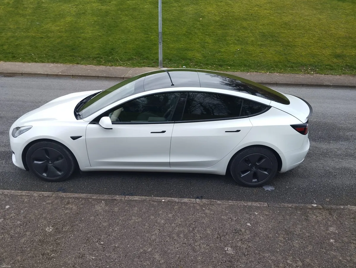 Quick sale - Image 2