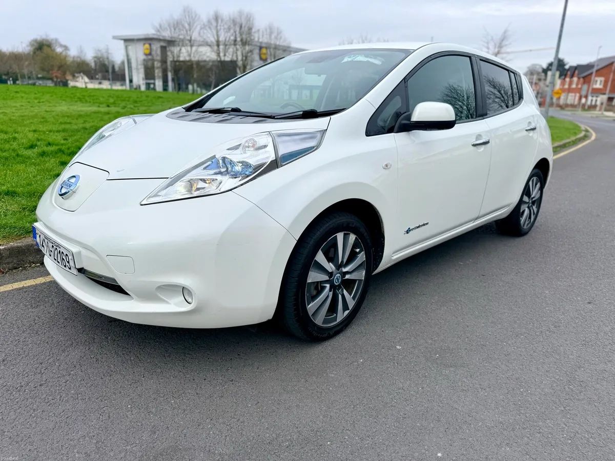 2014 Nissan Leaf SV Premium - Image 1