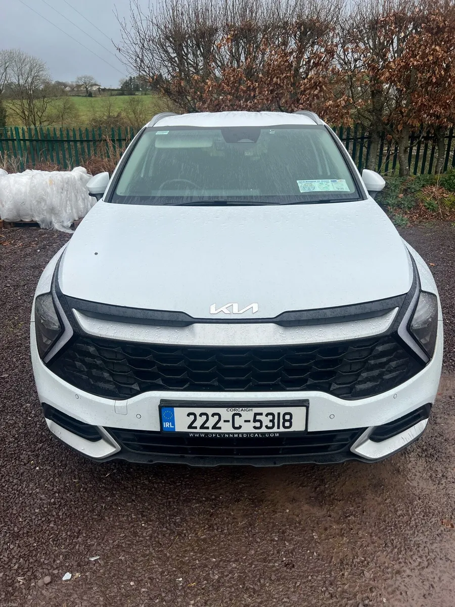 Kia Sportage - Image 1