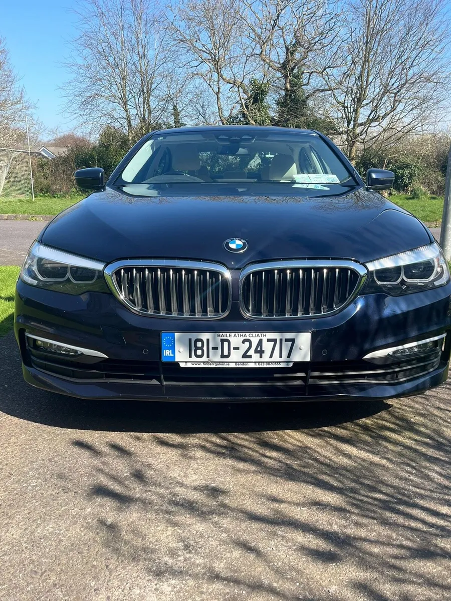2018 520D - Image 1
