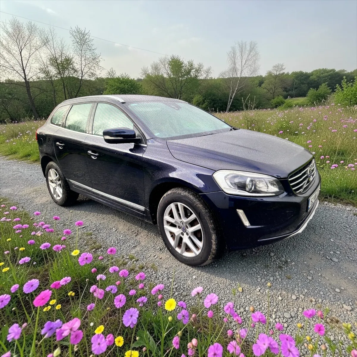 Volvo XC60 D4 (190hp) FWD SE LUX Automatic - Image 1