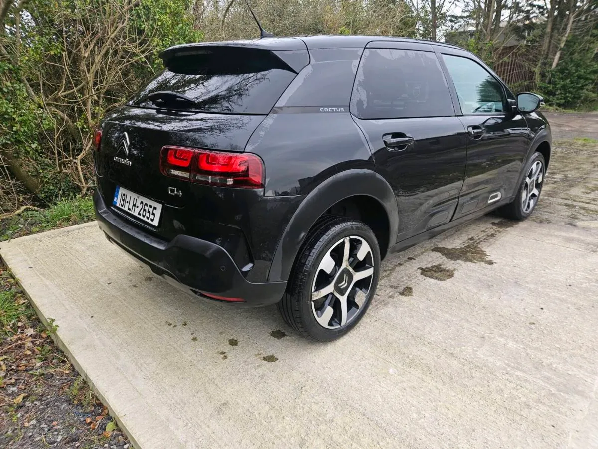 2019 Citroën c4 cactus - Image 3