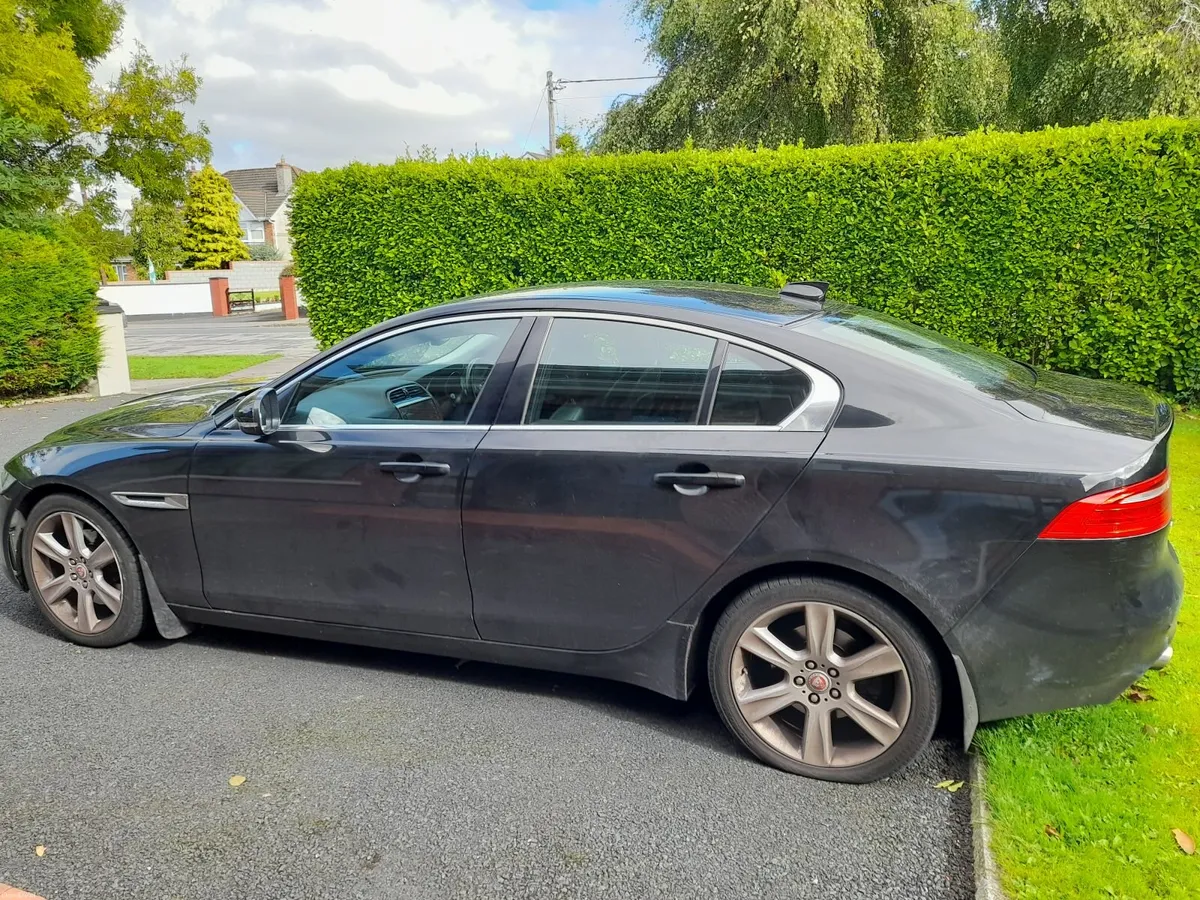 Jaguar XE 2016 - Image 6