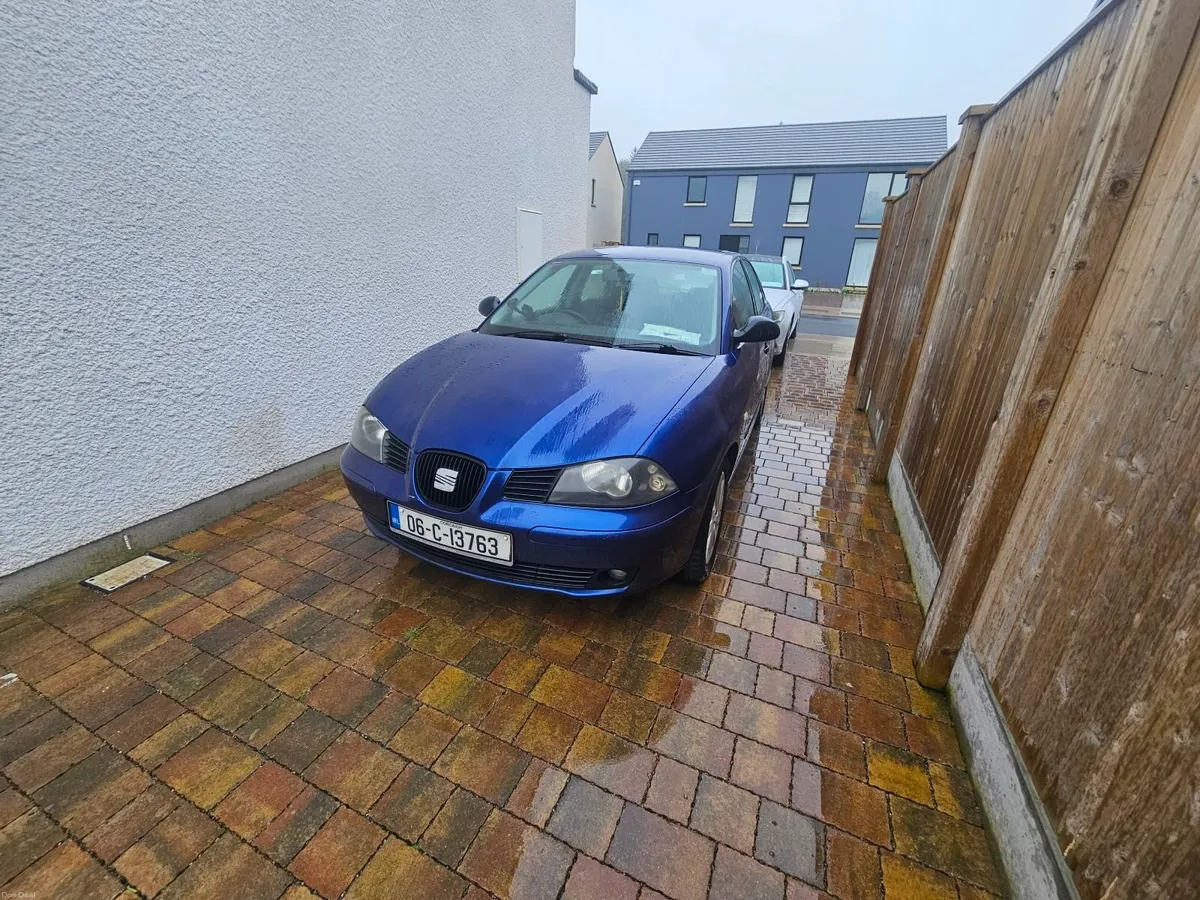 SEAT Ibiza 2006 - Image 3