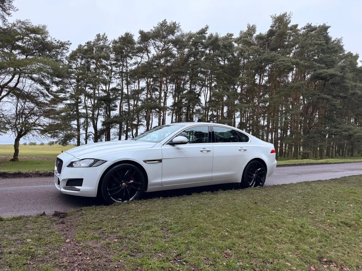 Jaguar XF 2016 Diesel Fuji White Black Wheels - Image 3