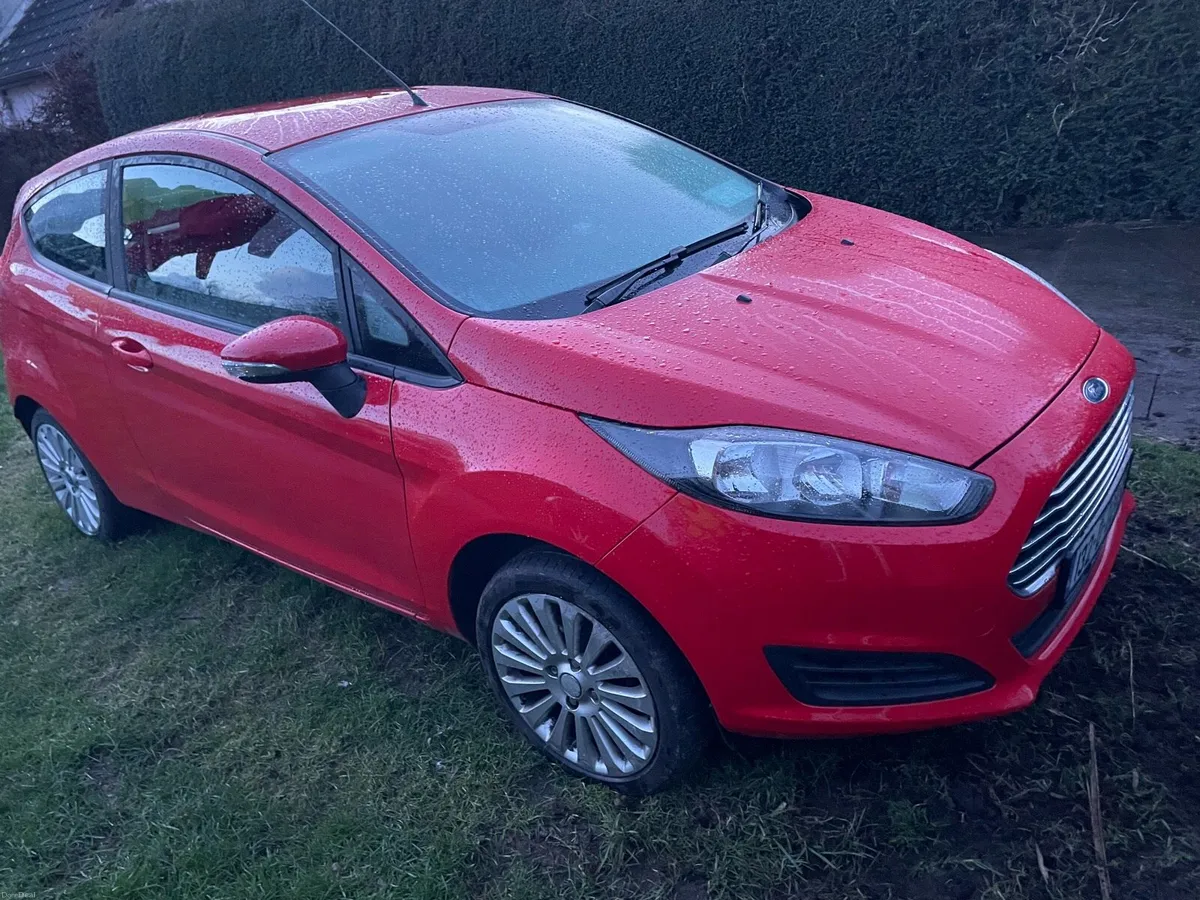 Fiesta 2013 . - Image 2