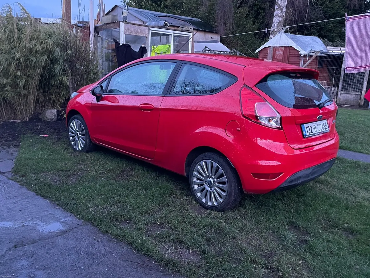 Fiesta 2013 . - Image 4