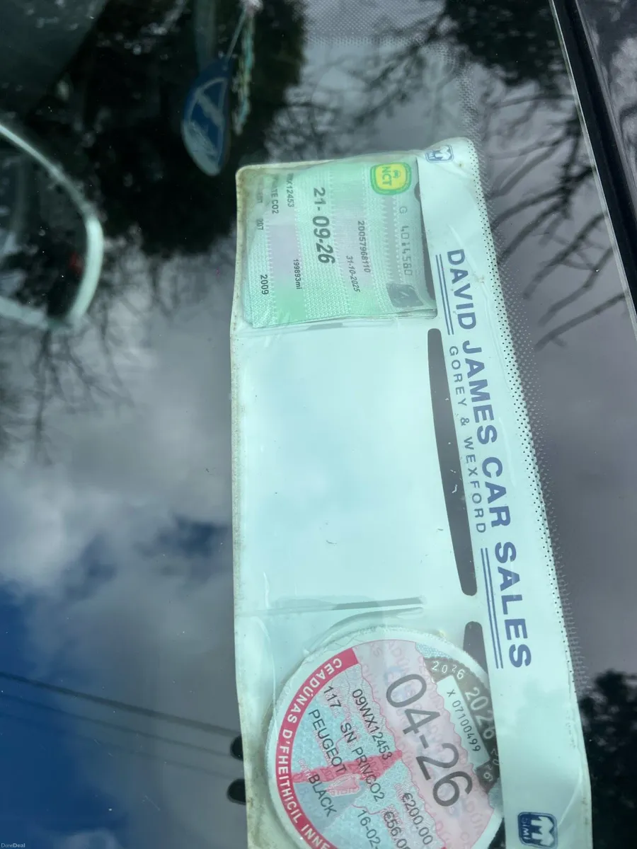 Peugeot 207 - Image 4