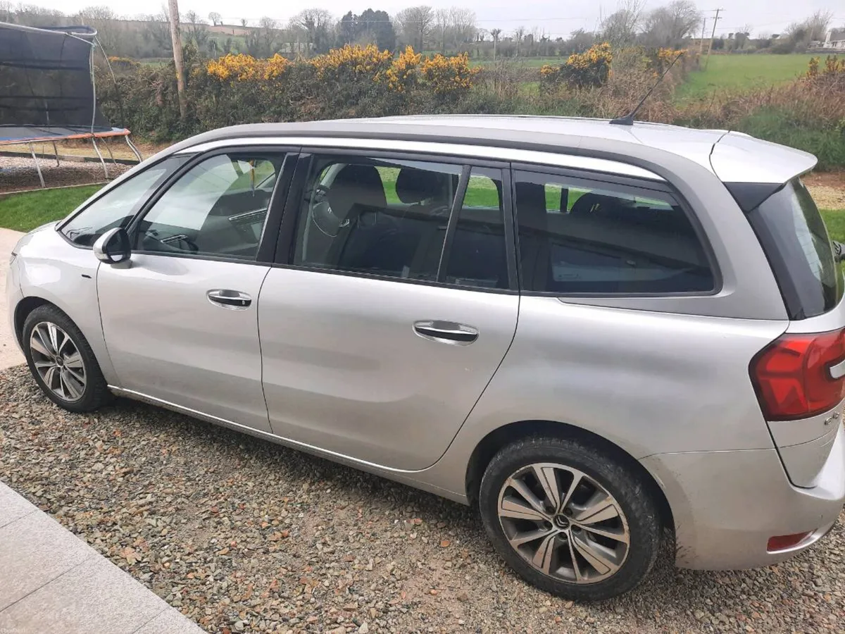 C4 grand piscasso - Image 3