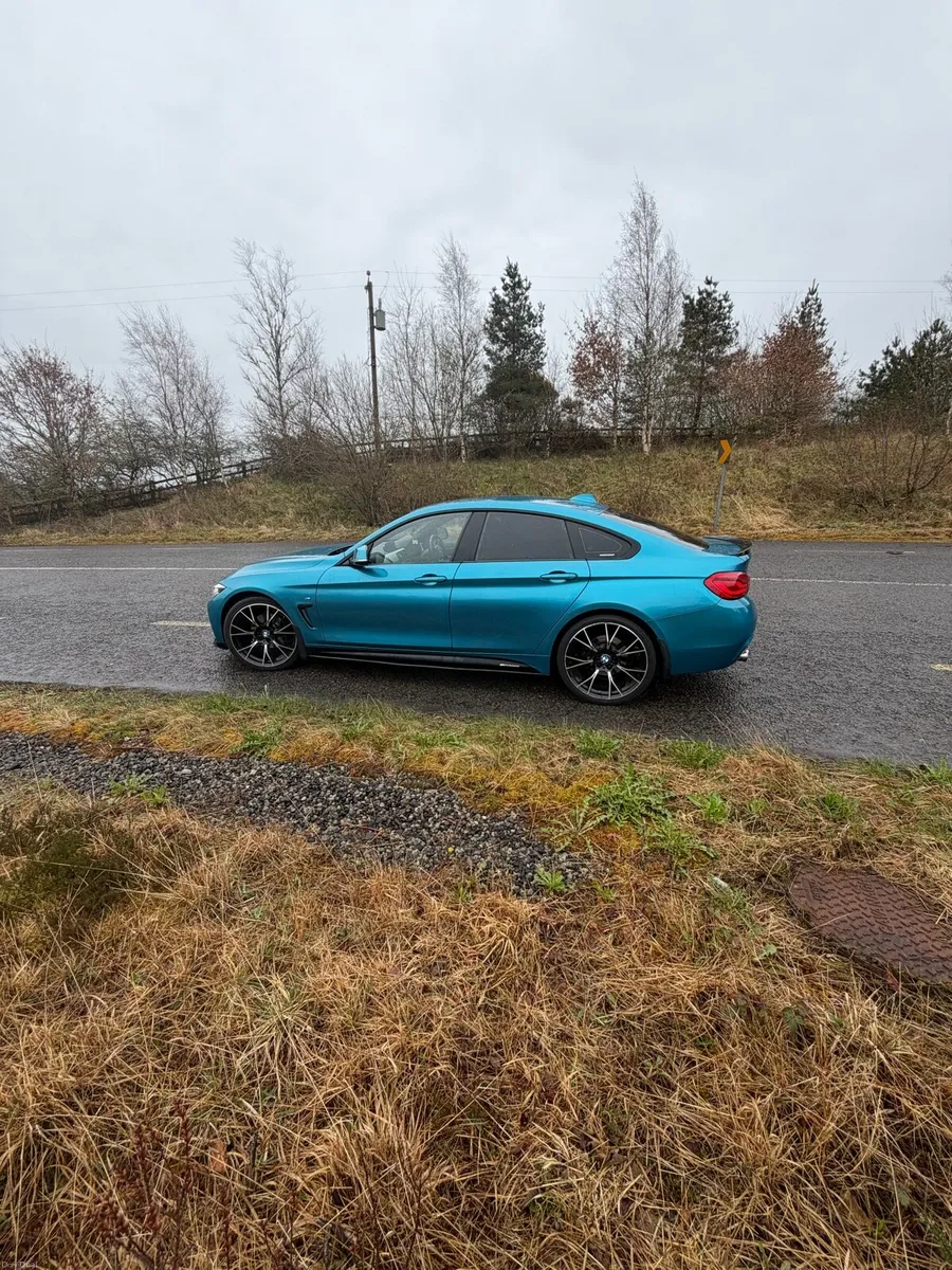BMW 420d M Sport - Image 1