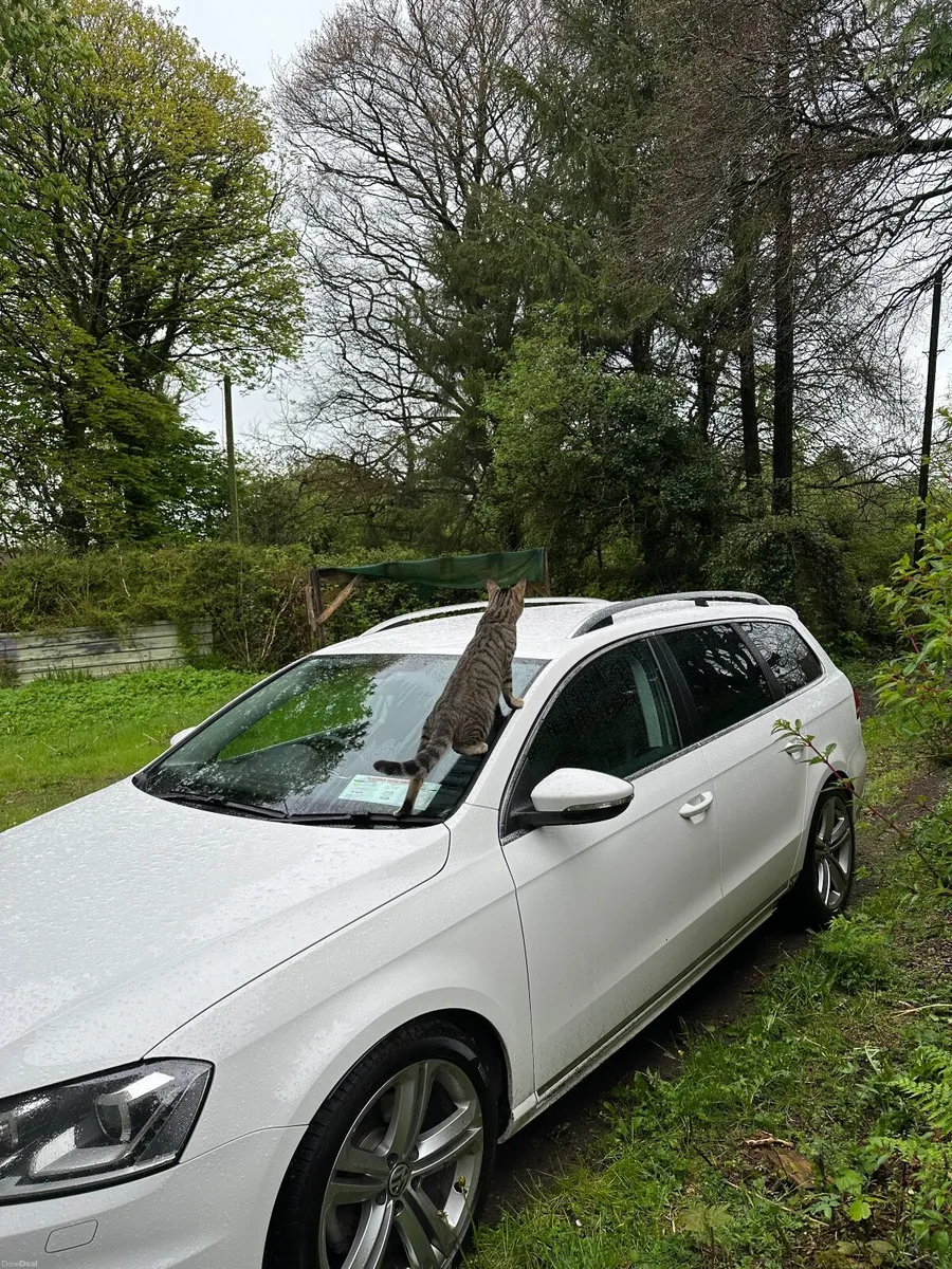Volkswagen Passat B7 / Price is negotiable - Image 1