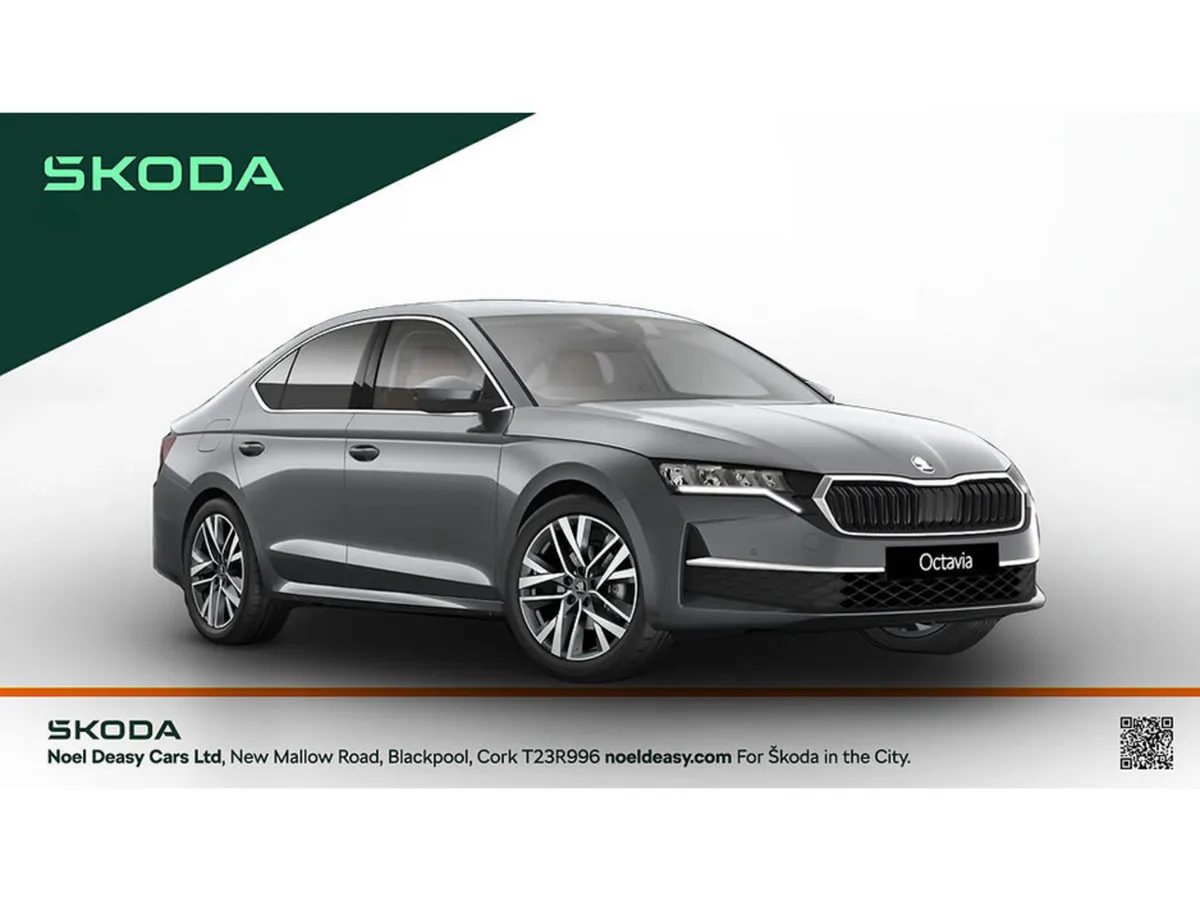 Skoda Octavia Heritage - Image 1