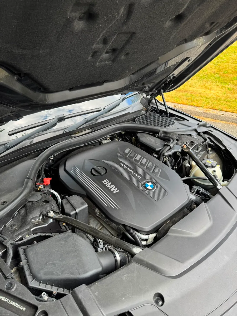 BMW 730D - Image 5