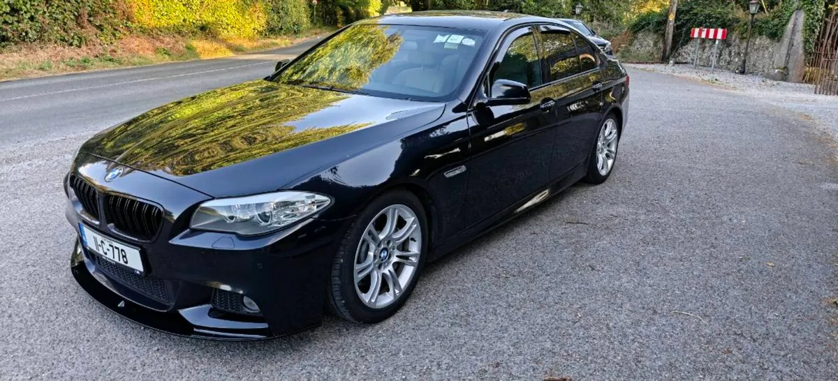 F10 528i automatic - Image 4