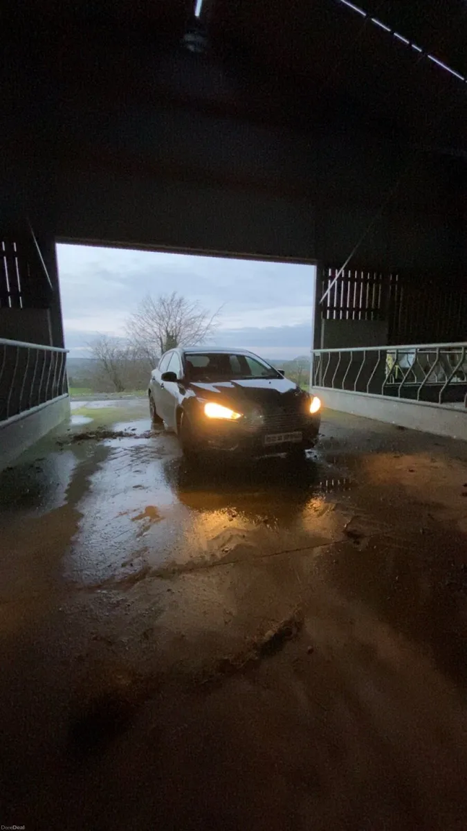Ford focus - Image 1